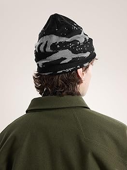 Amazon.co.jp: [アークテリクス] Grotto Toque | リサイクル
